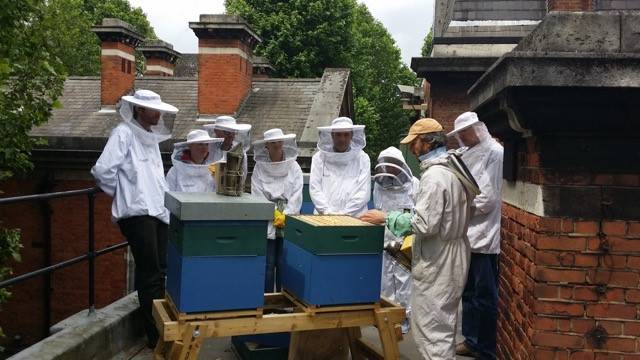 Introduction to Beekeeping - Workshop at · V&A