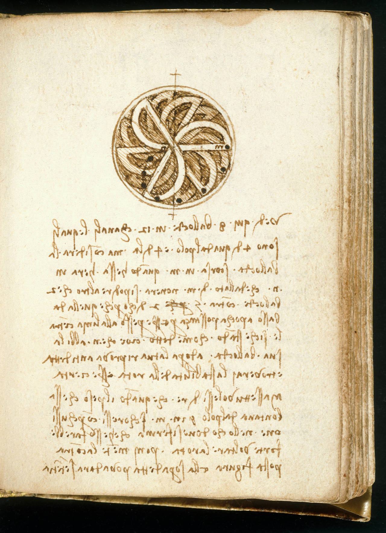 Manuscripts · V&A