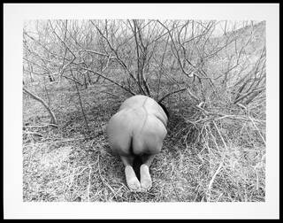 photograph