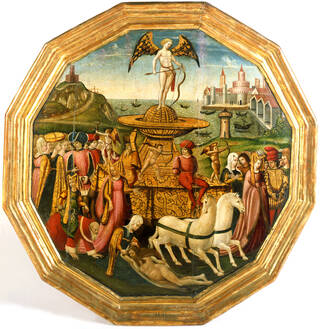 birth tray