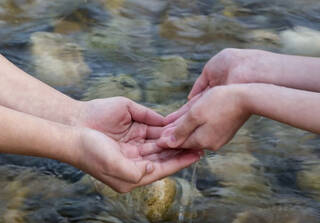 Jumana Emil Abboud – The Water Diviners Trail photo