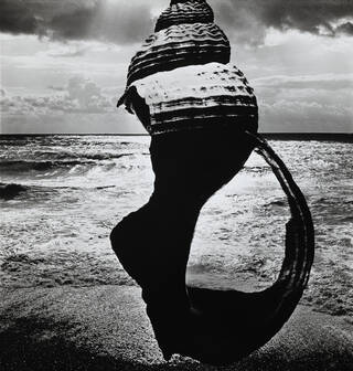 photograph