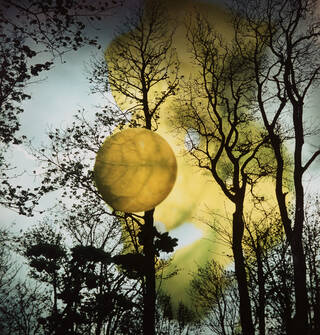 photograph