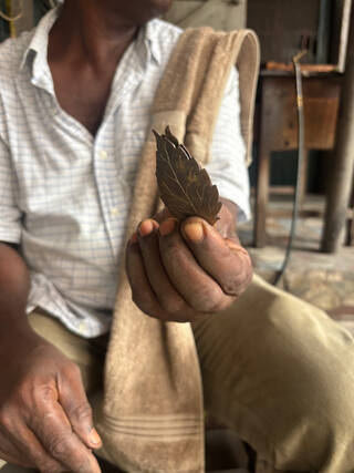 Handing holding two gold leaves towards the camera, just torso in shot