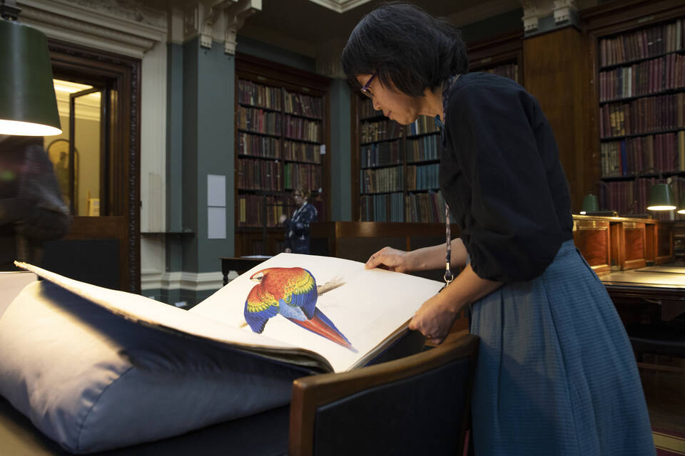 National Art Library and Archive talks Monday 11.30
