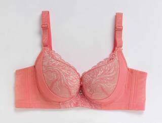 brassiere