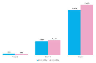 BAr chart of emissions in pink and blue
