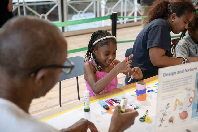 Family Design Challenge