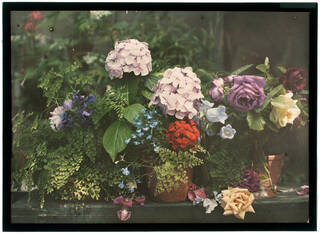 autochrome