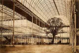 photograph