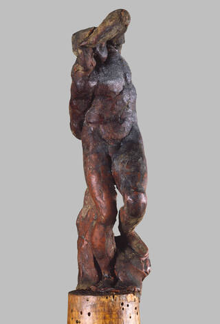 model