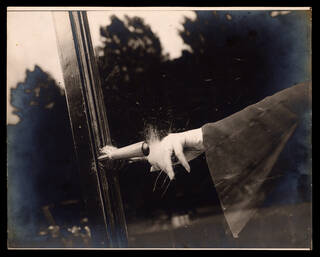 photograph