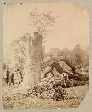 photograph