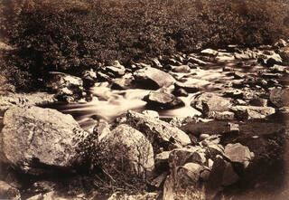 photograph