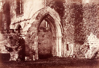 photograph
