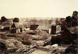 photograph