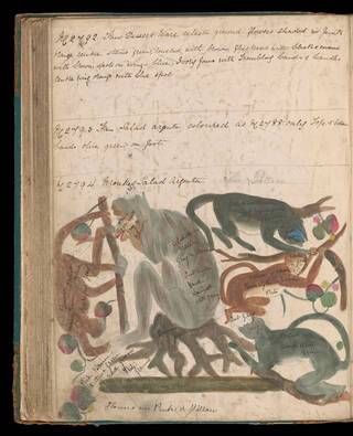 drawing of monkeys in trees within a book
