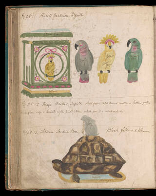 Hand-drawn design for a box in the shape of a tortoise with a hare on top