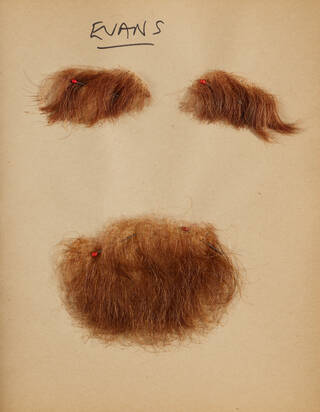 facial hair