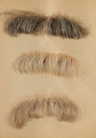 facial hair